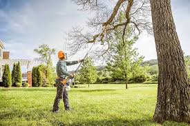 Best Firewood Processing and Delivery  in Priest River, ID