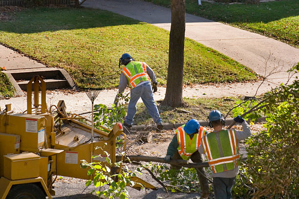 Best Lawn Drainage Solutions  in Priest River, ID